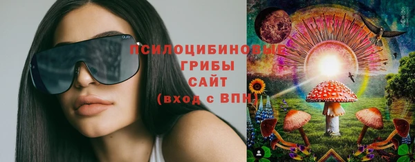 прущая мука Дмитровск