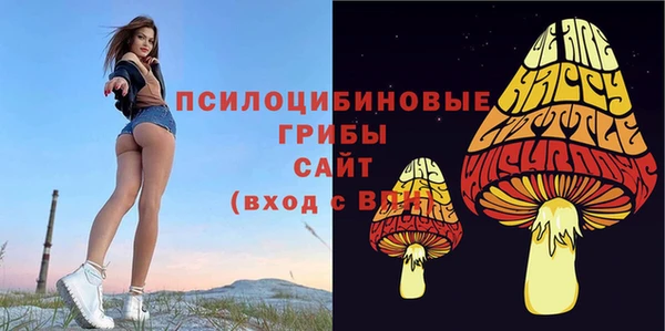 ALPHA-PVP Дмитров