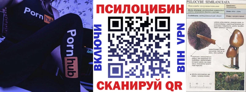 blacksprut ссылки  цена   Бородино  Галлюциногенные грибы ЛСД 